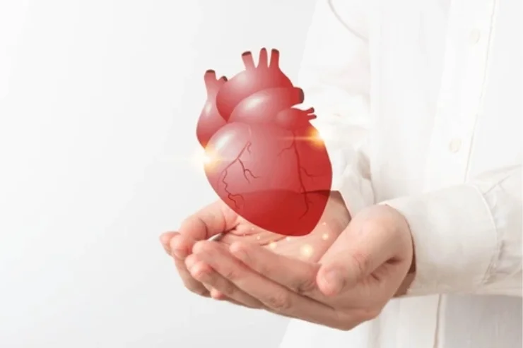 Cardiology------17