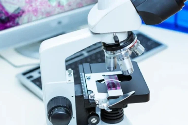 Pathology-----16