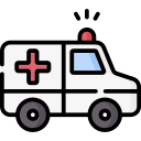 Emergency & Critical Care
